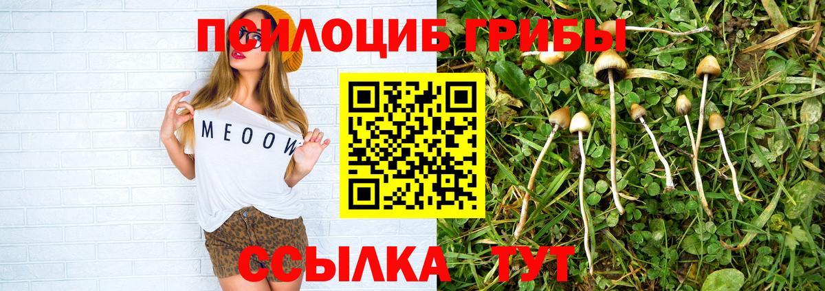 Галлюциногенные грибы прущие грибы  Галлюциногенные грибы Psilocybe  наркошоп  Семилуки  Вход с VPN 